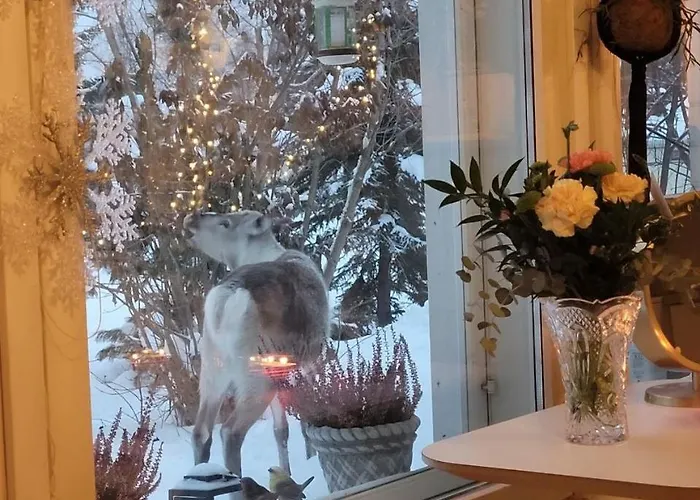 アパート Quiet With Sauna Near Santas Village *