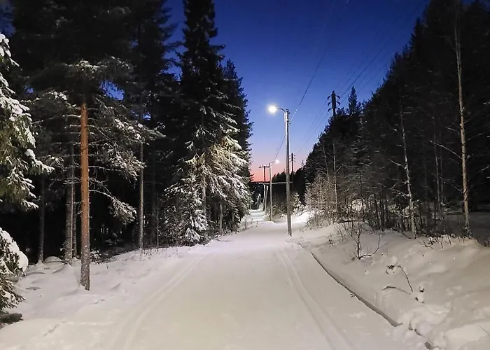 Quiet With Sauna Near Santas Village ロヴァニエミ