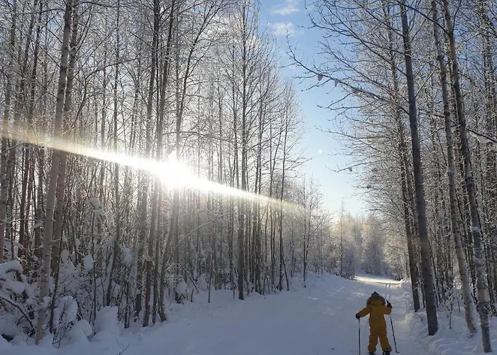 アパート Quiet With Sauna Near Santas Village ロヴァニエミ